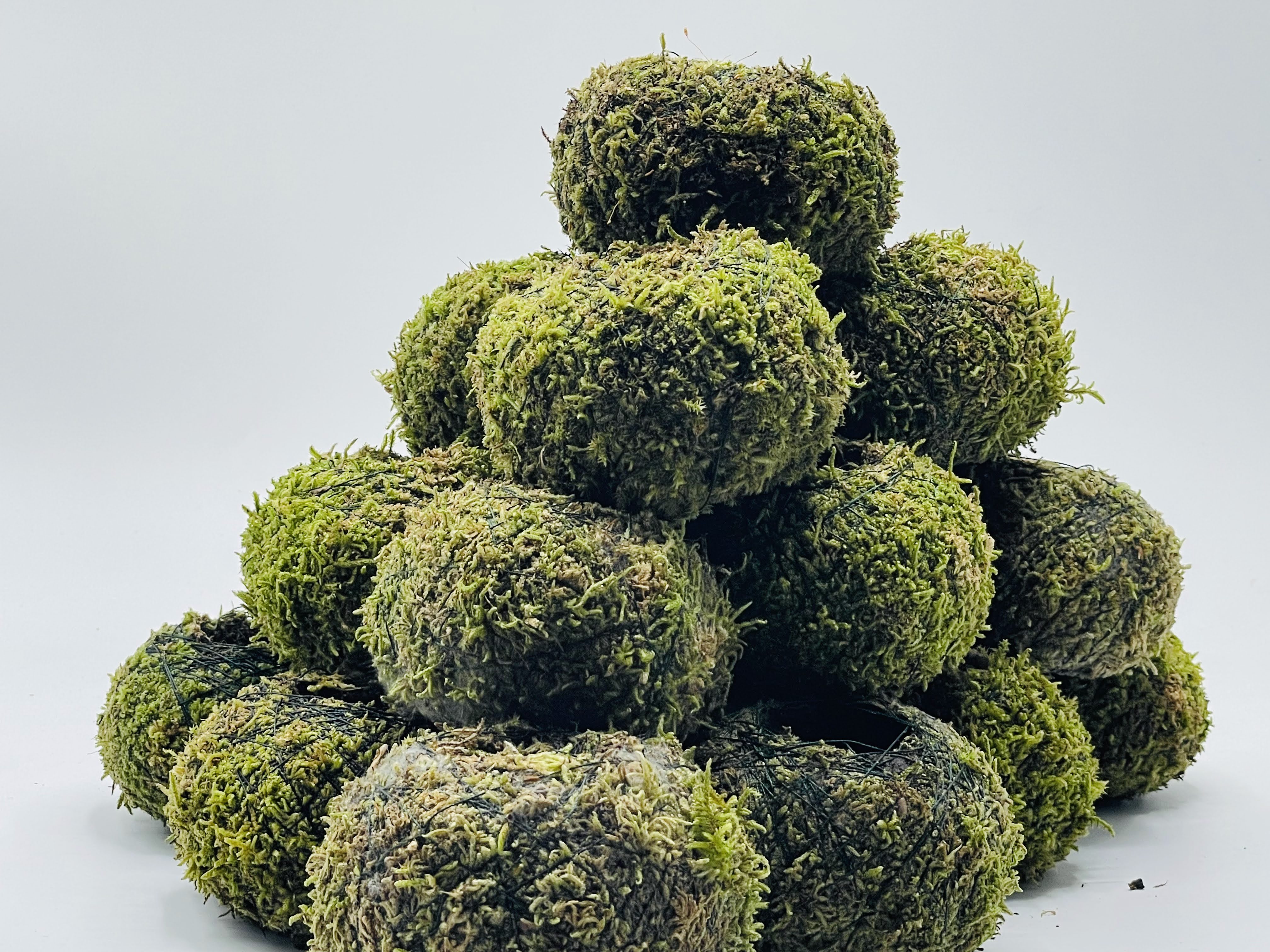 Kampanya